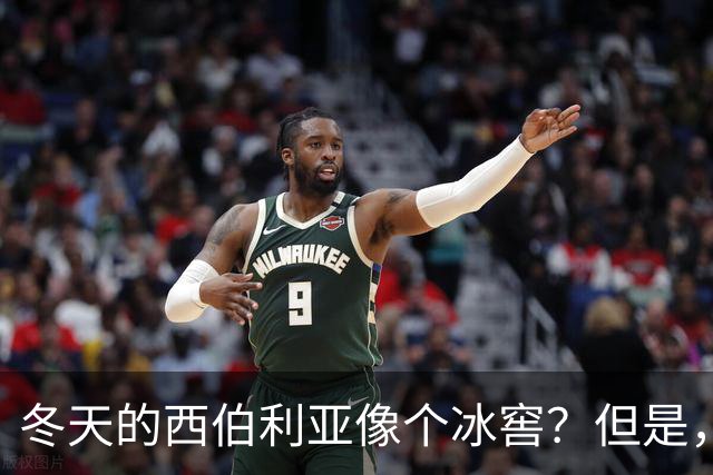 冬天的西伯利亚像个冰窖？但是，它却是俄罗斯的＂摇钱树＂