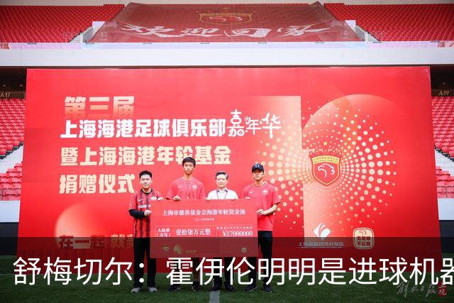 舒梅切尔：霍伊伦明明是进球机器，维韦尔来了偏要换成谢什科