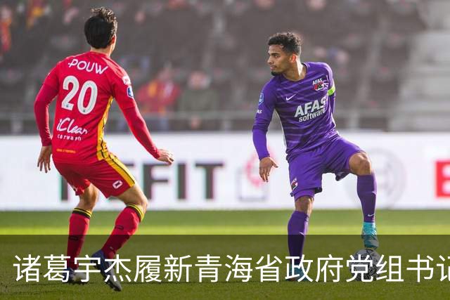 诸葛宇杰履新青海省政府党组书记，从上海起步，重视县域经济
