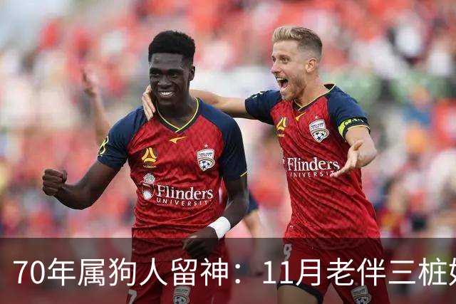 70年属狗人留神：11月老伴三桩好事齐上门，稳住别声张